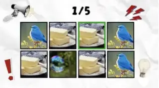 Bird bubble butter B-words challenge